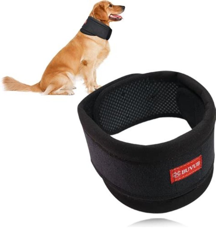 Are e-collars comfortable for dogs?