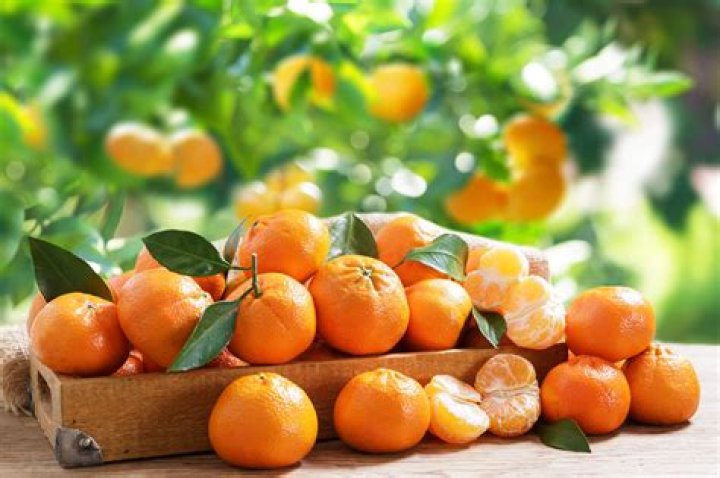 Are mandarin oranges from China safe?