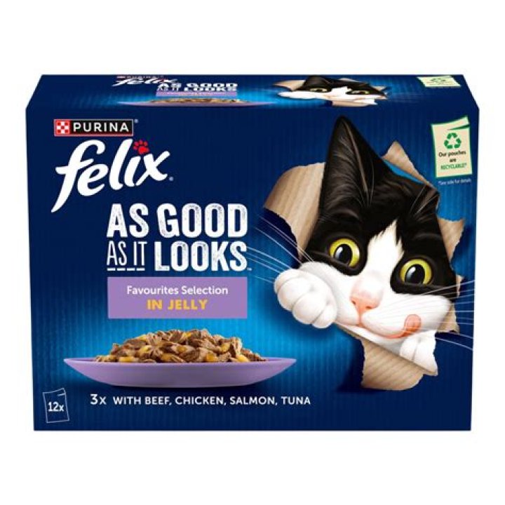 Are pouches good for cats?