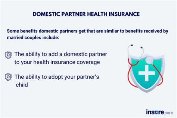 Can I add my domestic partner to my health insurance?