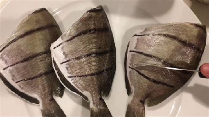 Can you eat Manini fish?