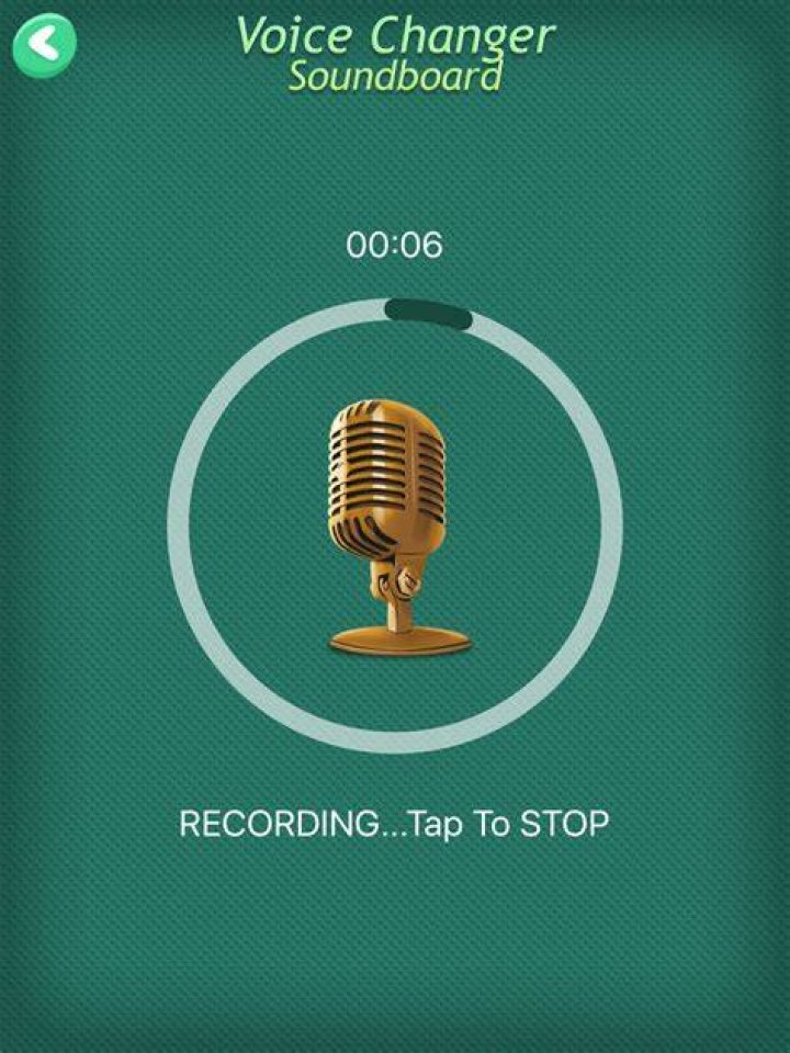 Can you get voice changer on iPad?