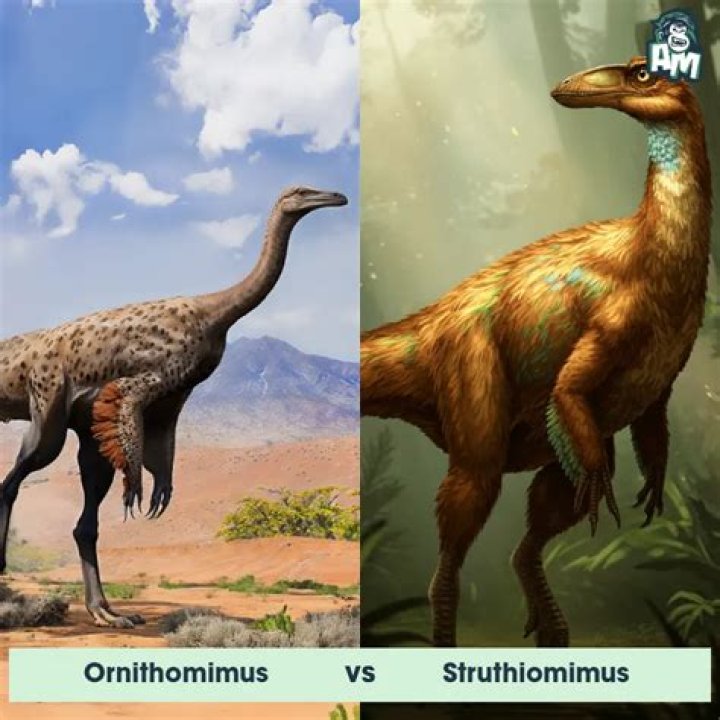 Did struthiomimus teeth?