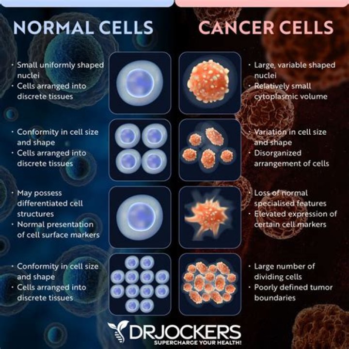 Do cancer cells undergo differentiation?