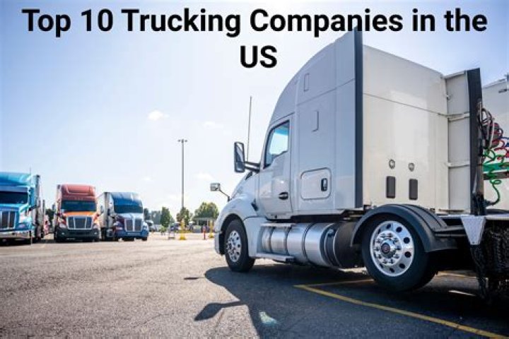 Do logistics companies own trucks?