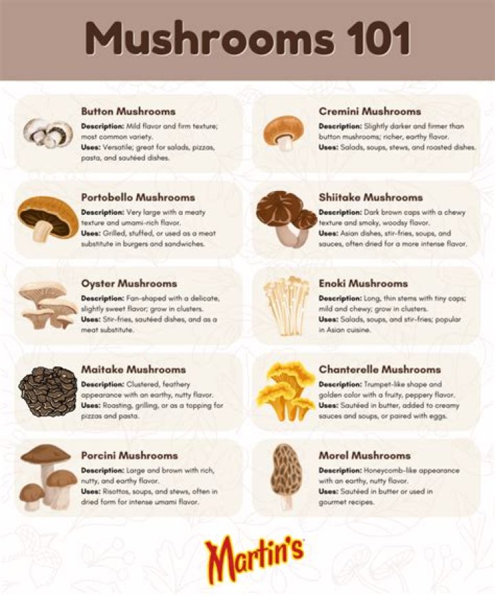 Do mushrooms go bad in the fridge?