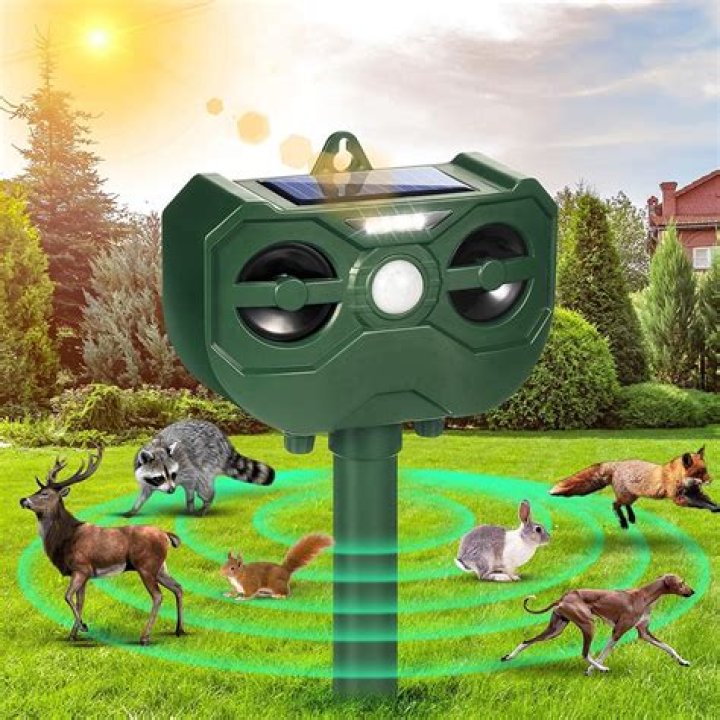 Do ultrasonic cat repellers really work?