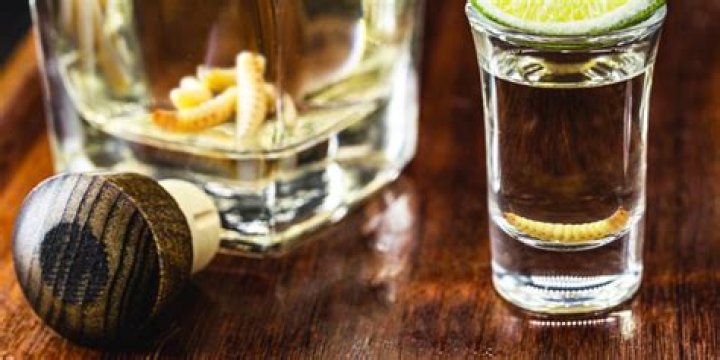 Does all tequila have worms?
