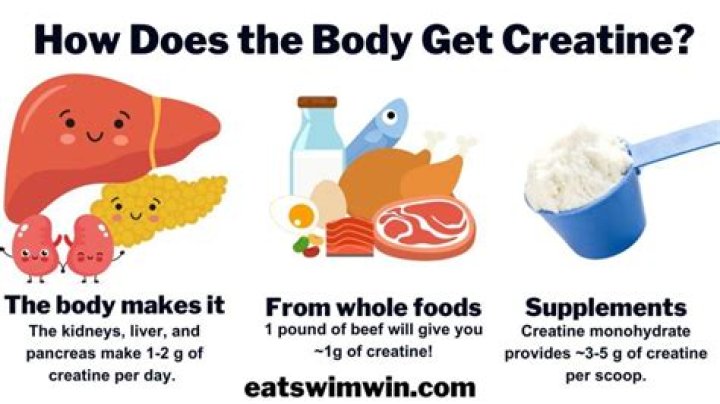 Does creatine increase mass?