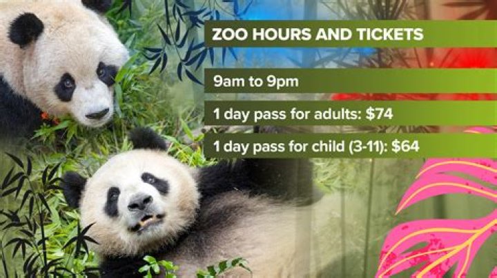 Does the Toronto Zoo have pandas?