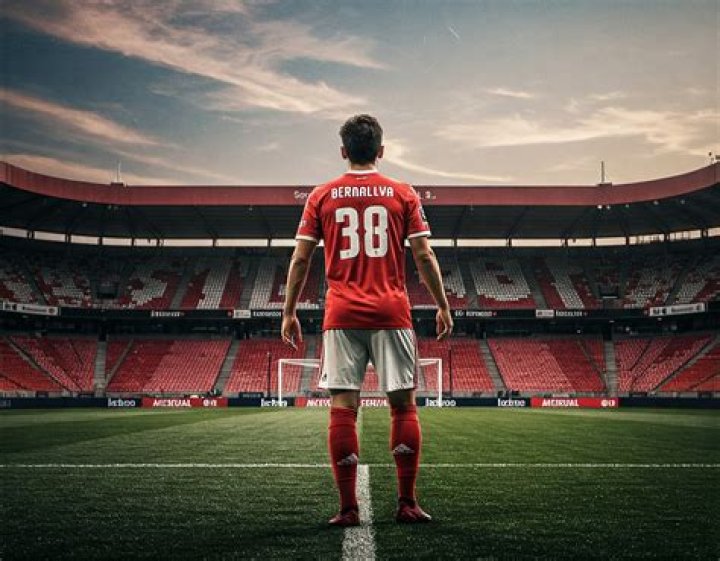 Histoire de l'enfance Bernardo Silva Plus Untold Biographie Faits