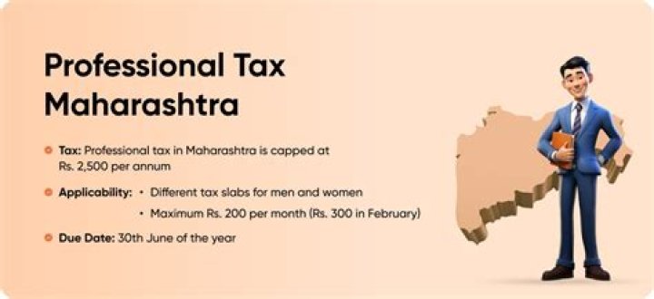How can I pay my professional tax online in Maharashtra?