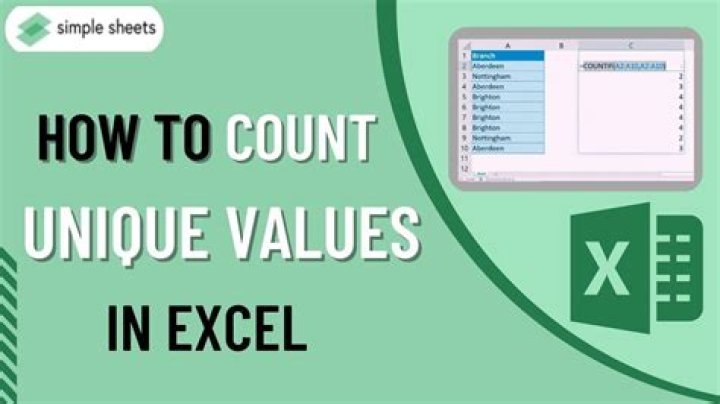 How do I count unique values in a pivot table Excel 2007?