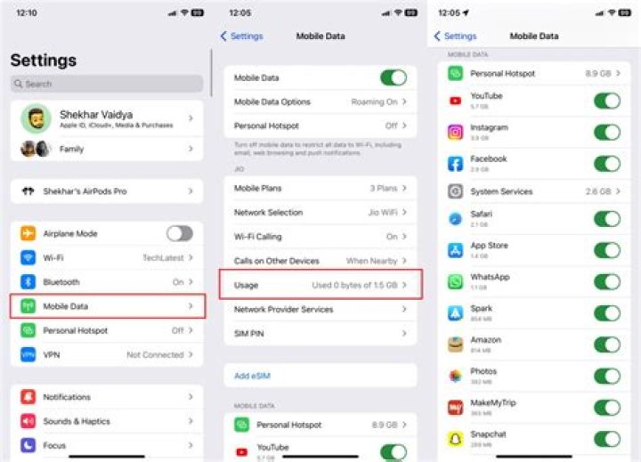 How do I find data manager on iPhone?