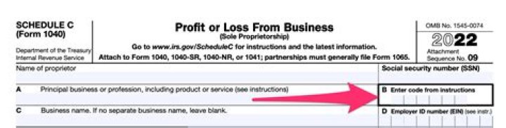 How do I find my Schedule C business code?