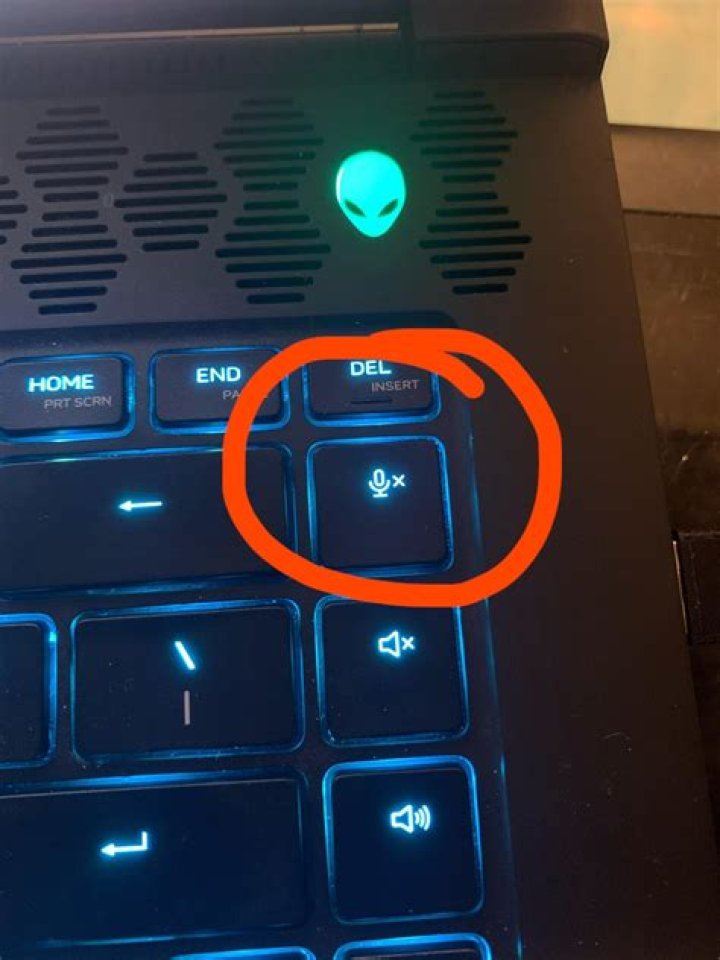 How do I get into Alienware BIOS?