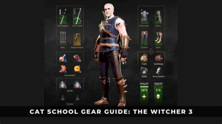 How do I get the school of CAT gear Witcher 3?