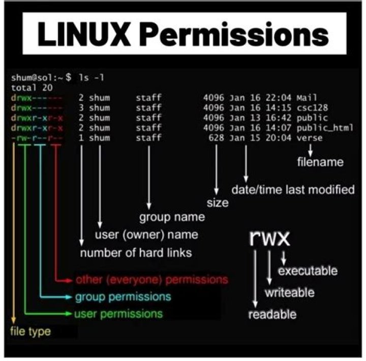How do I give Drwxr XR X permission in Linux?