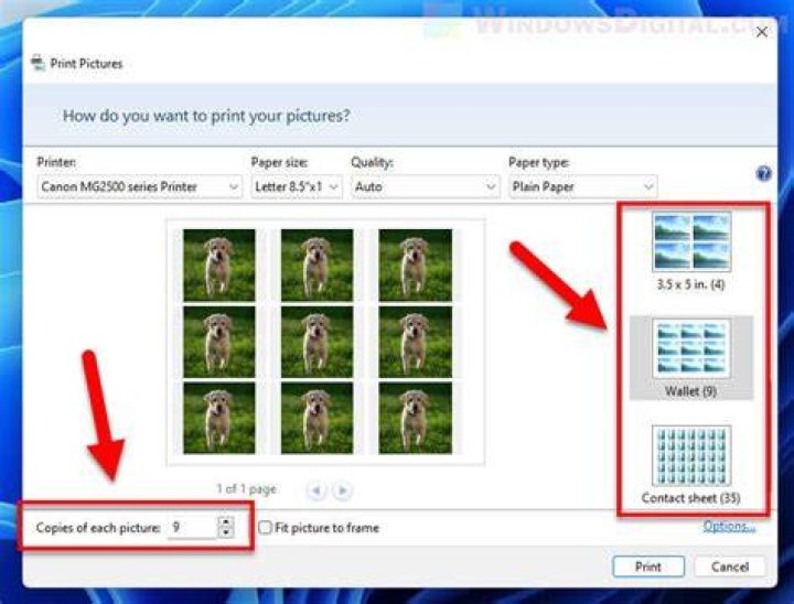 How do I print pictures from Windows 7?