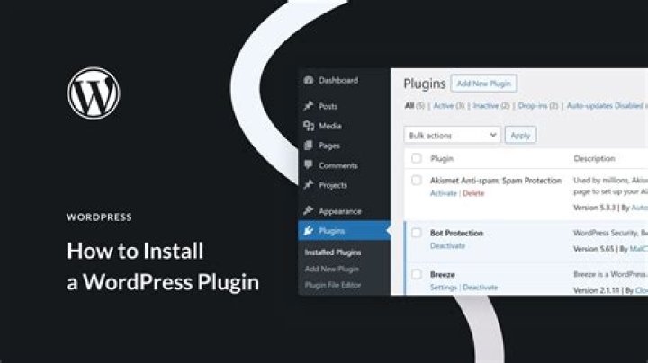 How do I remove a WordPress site name?