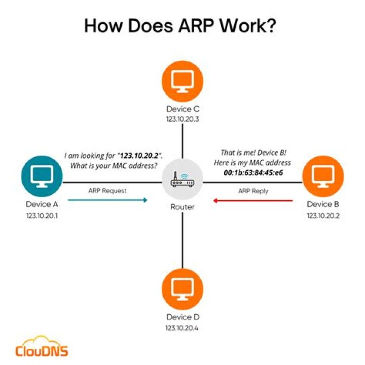 How do I resolve an IP address to a domain name?