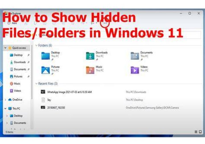 How do I turn on Show hidden files?