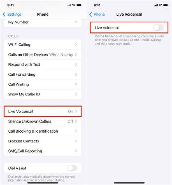 How do I turn on voice search on my iPhone?
