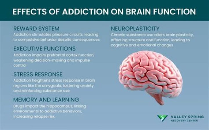 How do Subliminals affect the brain?
