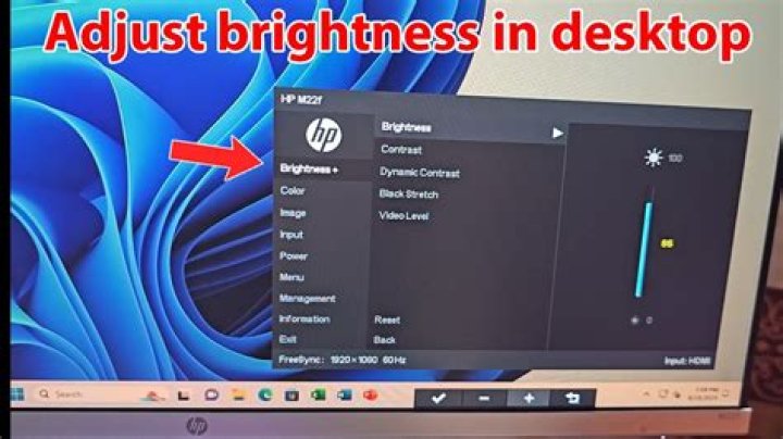 How do you adjust brightness on DS?