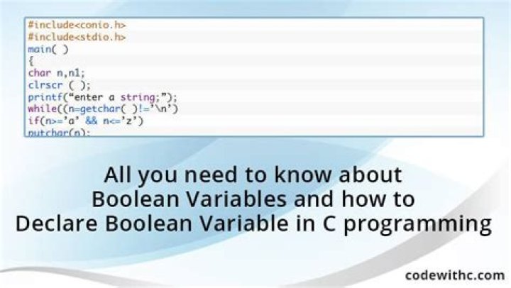 How do you cast a boolean in C#?