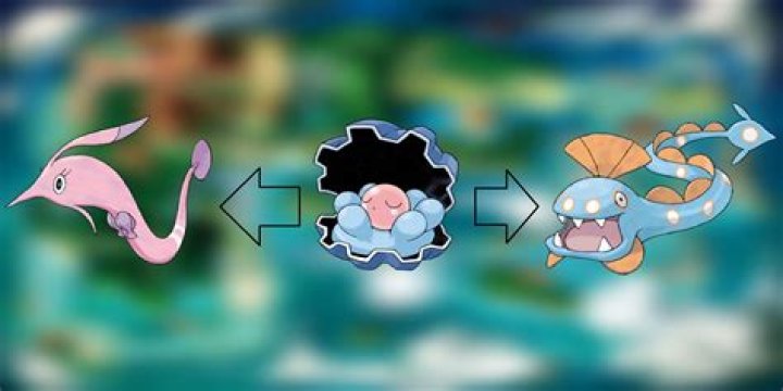 How do you evolve Clamperl to Huntail?