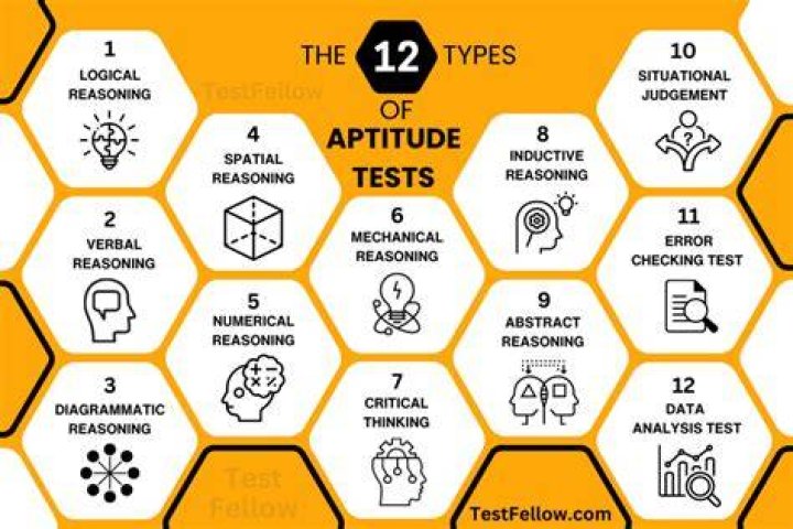 How do you explain aptitude test?
