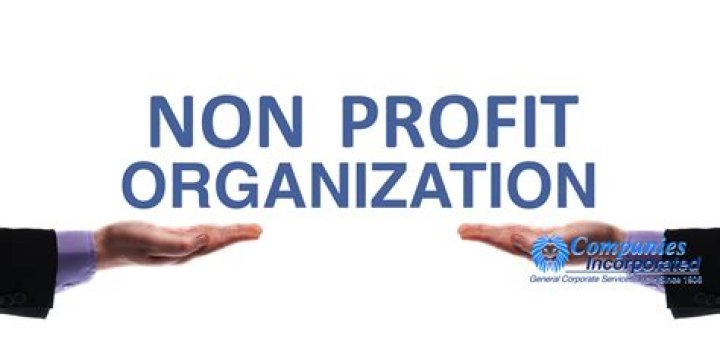 How do you know if an organization is non-profit?