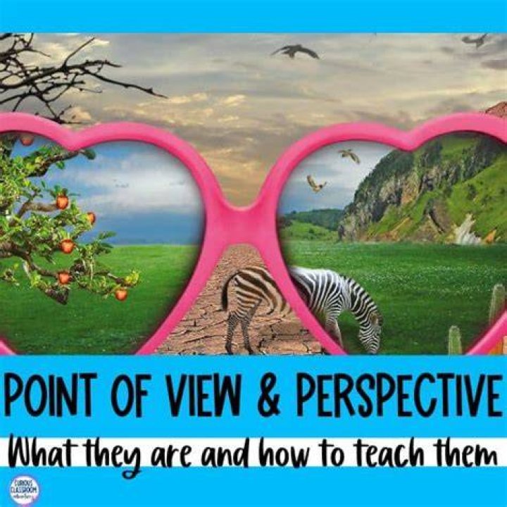 How do you teach point of view to elementary students?