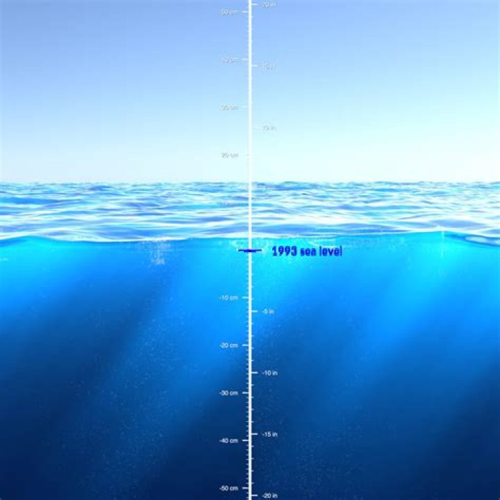 How high is Shotts above sea level?