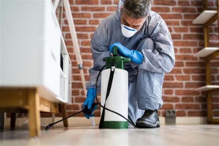 How long does it take an exterminator to get rid of bugs?