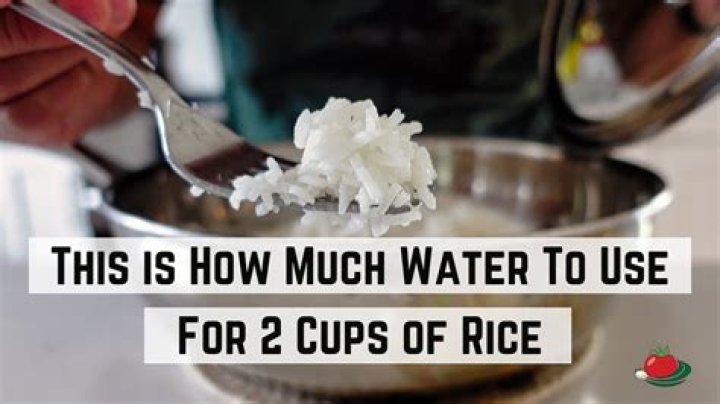 How many cups of water do you need for 1 cup of rice?