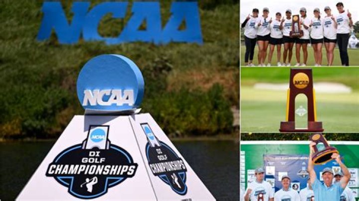 How many Division 2 golf teams are there?