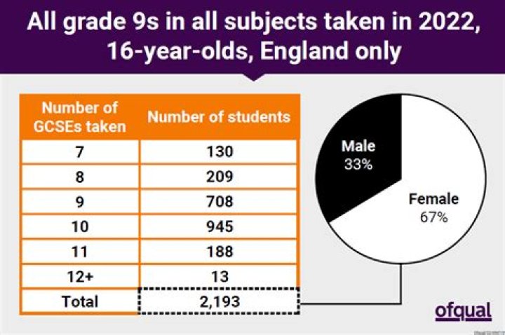 How many GCSE exam boards are there?