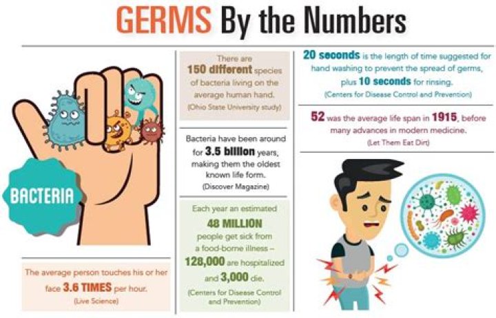 How many germs live on our hands?