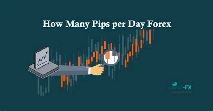 How many pips do day traders go for?