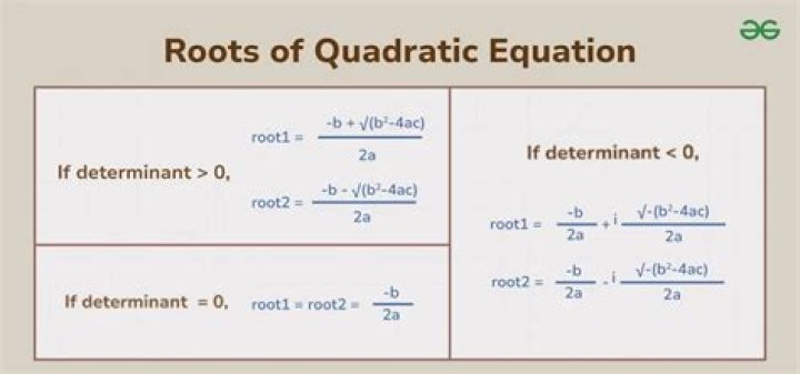 How many roots does the function have calculator?