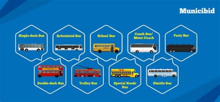 How many types of bus passes are there?