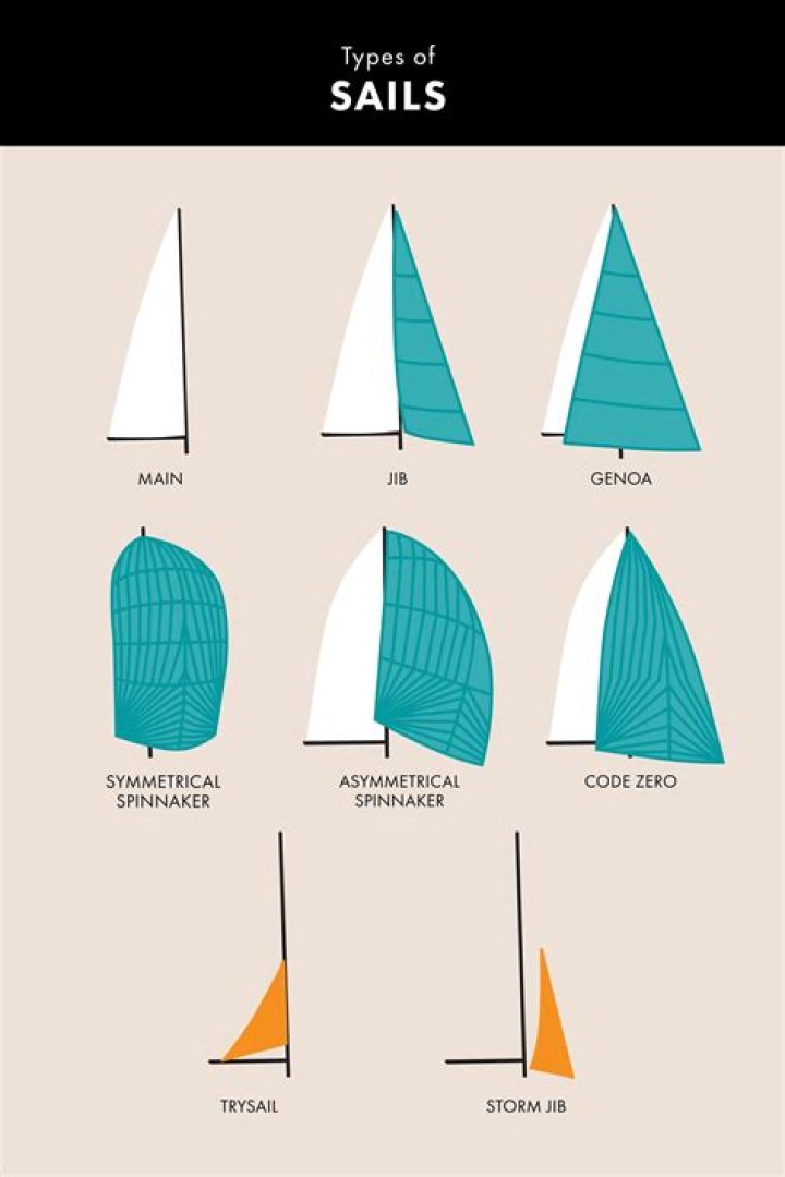 How many types of sailfish are there?