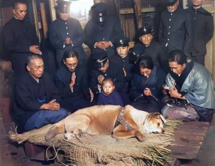 How many years did Hachi wait for Parker?