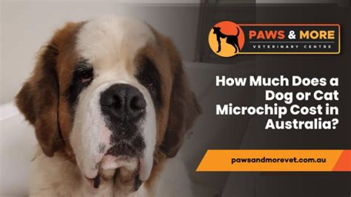 How much does it cost to DNA test my dog?