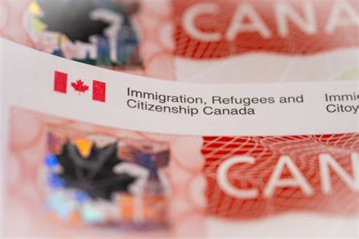 How much is the application fee for Canadian citizenship?