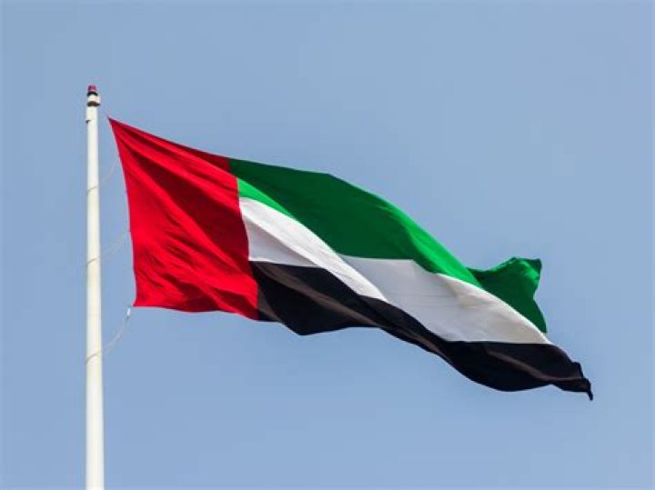 How was the UAE flag created?