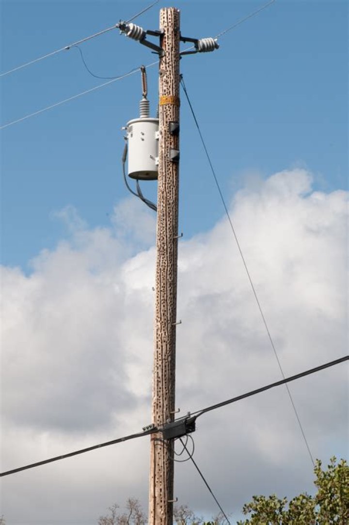 Is a telephone line a power line?