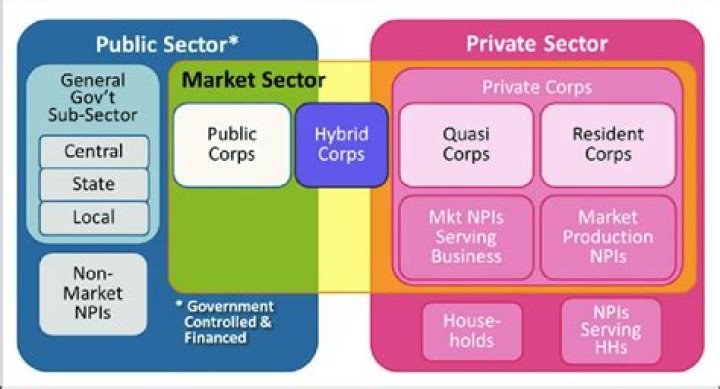 Is comsats govt or private?